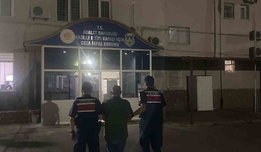 Kuyucak'ta ormanlık alanda kenevir yetiştiren şüpheli suçüstü yakalandı