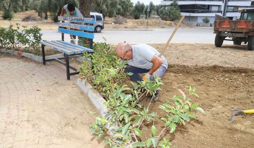 Nazilli kışa hazırlanıyor