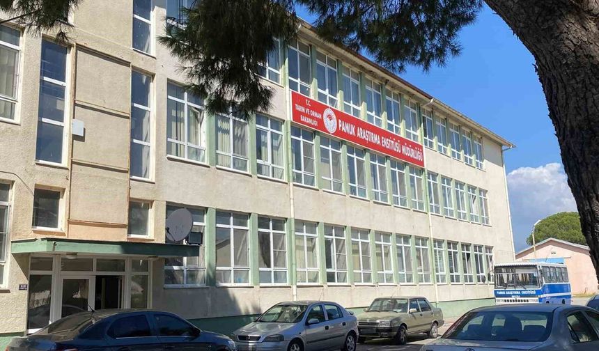 Pamuk Araştırma Enstitüsü'ndeki rüşvet iddiasına operasyon