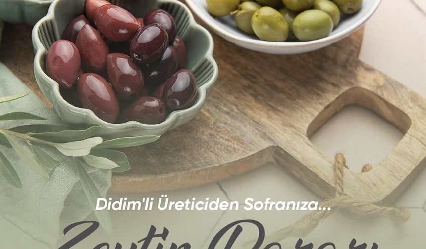 Zeytin üreticileri için satış alanı oluşturulacak