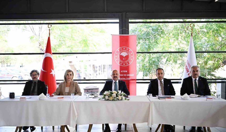 Aydın, su ürünleri yetiştiriciliğinde Türkiye'nin üçüncü sırasında