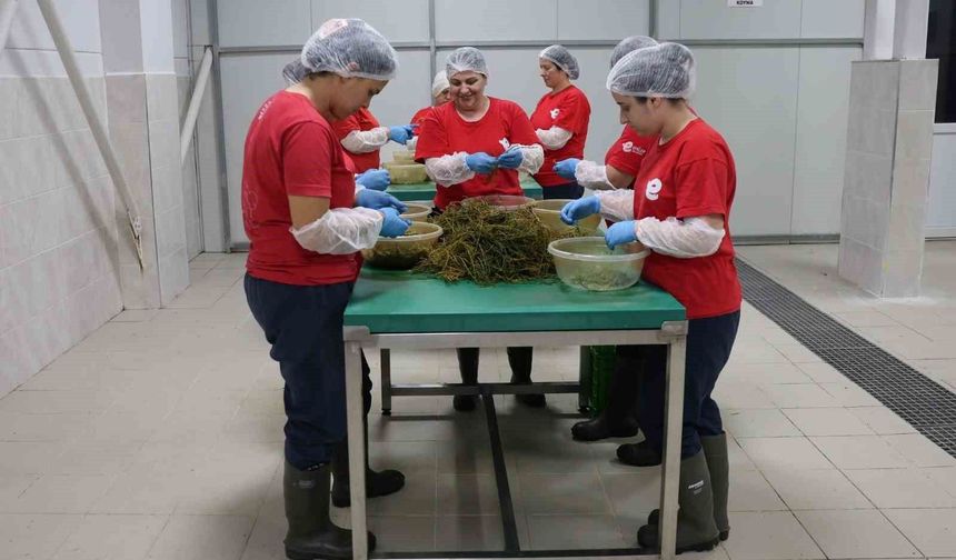 BAŞKAN YETİŞKİN ÖNCÜLÜĞÜNDE EFELER’İN LEZZETLERİ DÜNYA SOFRALARINDA