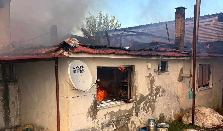Karacasu'daki ev yangını söndürüldü