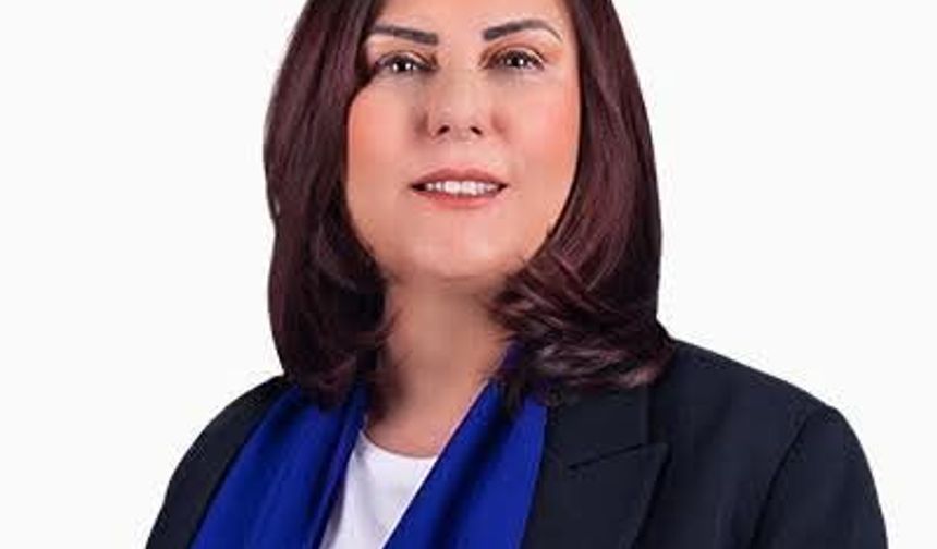 Çerçioğlu’ndan Çıldır Havalimanı Müjdesi: Projeler Bitti, Sırada İhale Var