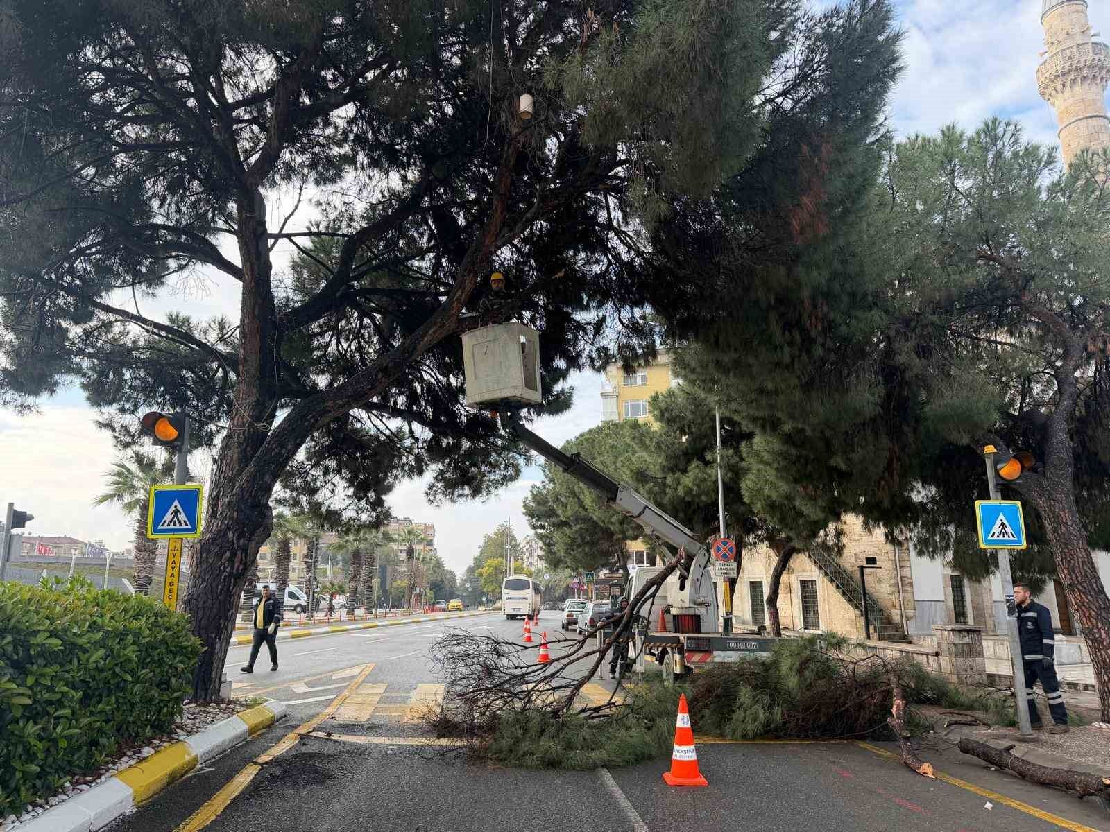 Aydın'ın en işlek noktasına estetik dokunuş