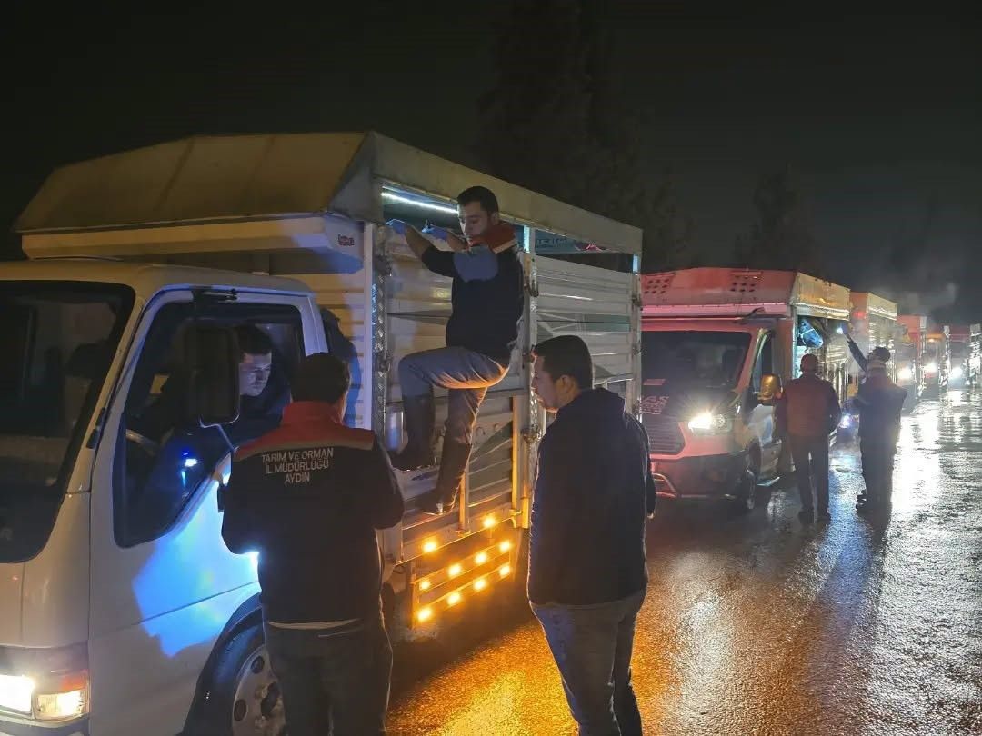 Aydın'da hayvan pazarlarında sıkı denetim